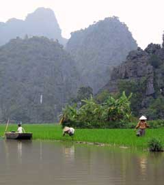 ninhbinh